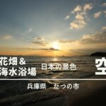 新舞子海水浴場