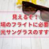 ドローンサングラス