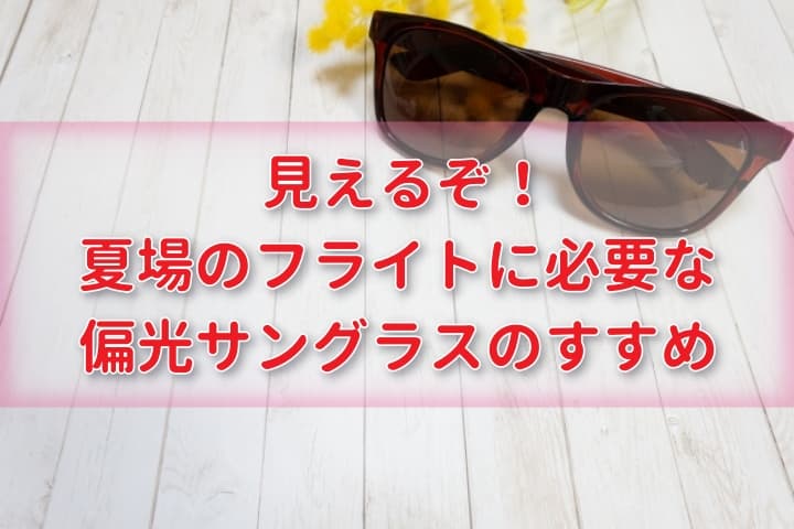 ドローンサングラス