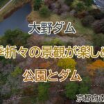 大野ダム